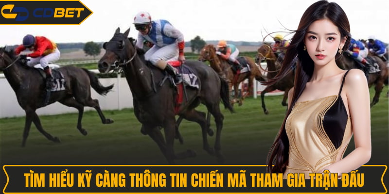 Tìm hiểu kỹ càng thông tin chiến mã tham gia trận đấu